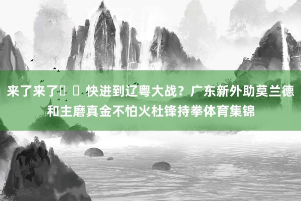 来了来了➡️快进到辽粤大战？广东新外助莫兰德和主磨真金不怕火杜锋持拳体育集锦